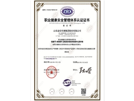 職業(yè)健康安全管理體系認證證書